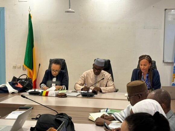 Mission du Fonds mondial au Mali – Consolidation du partenariat pour la santé publique