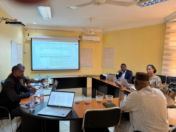 Mission de l’équipe pays du Fonds mondial au Mali du 21 au 31 janvier 2026