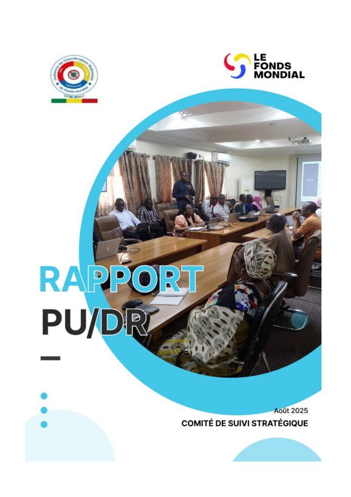 thumbnail of Rapport_atelier_PUDR_2-2025[1]